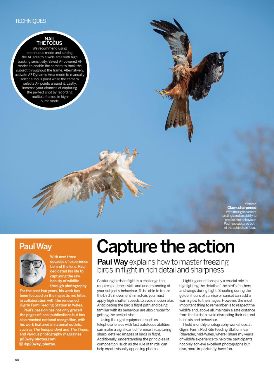 Digital Photographer Preview Pages