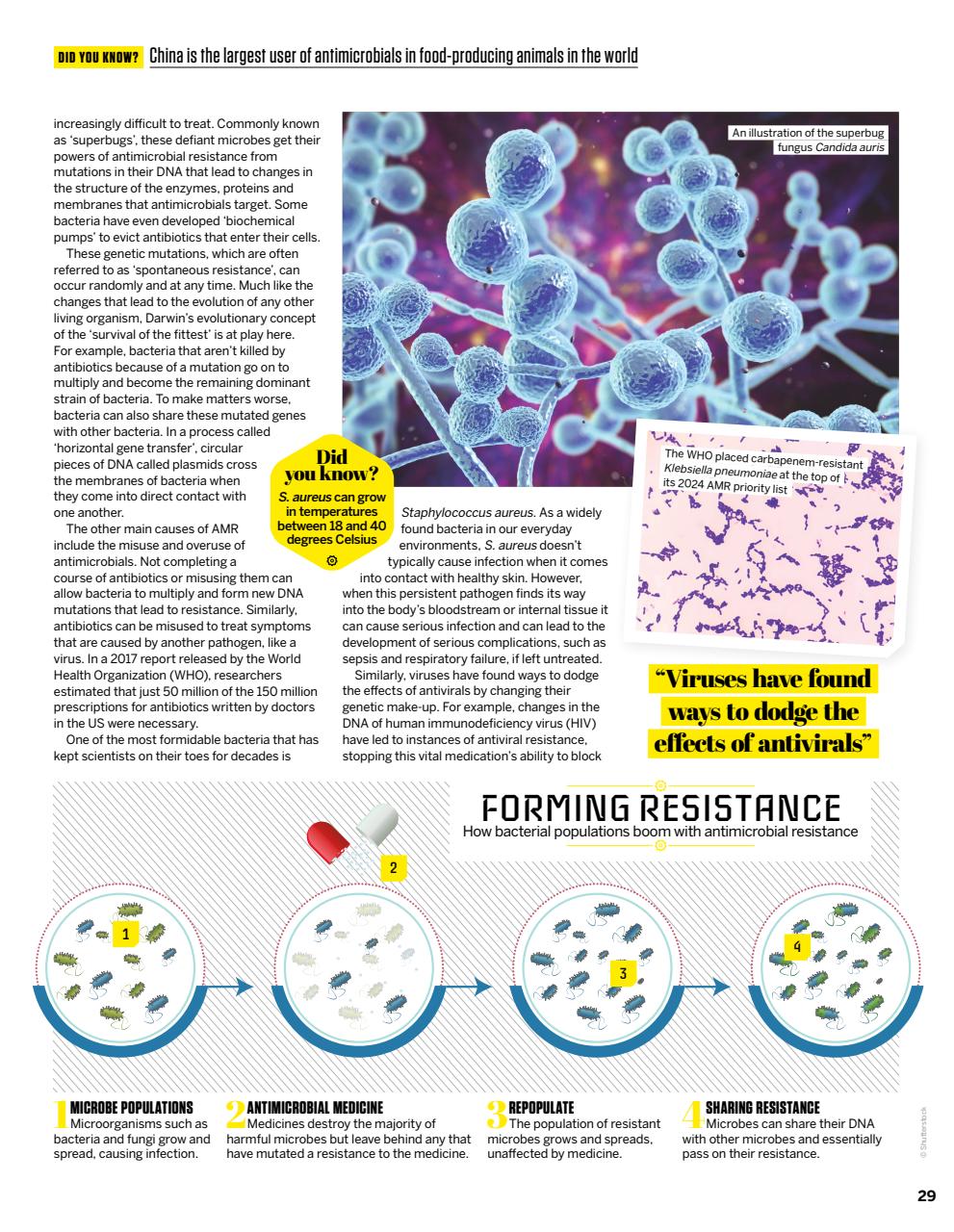 How It Works Preview Pages