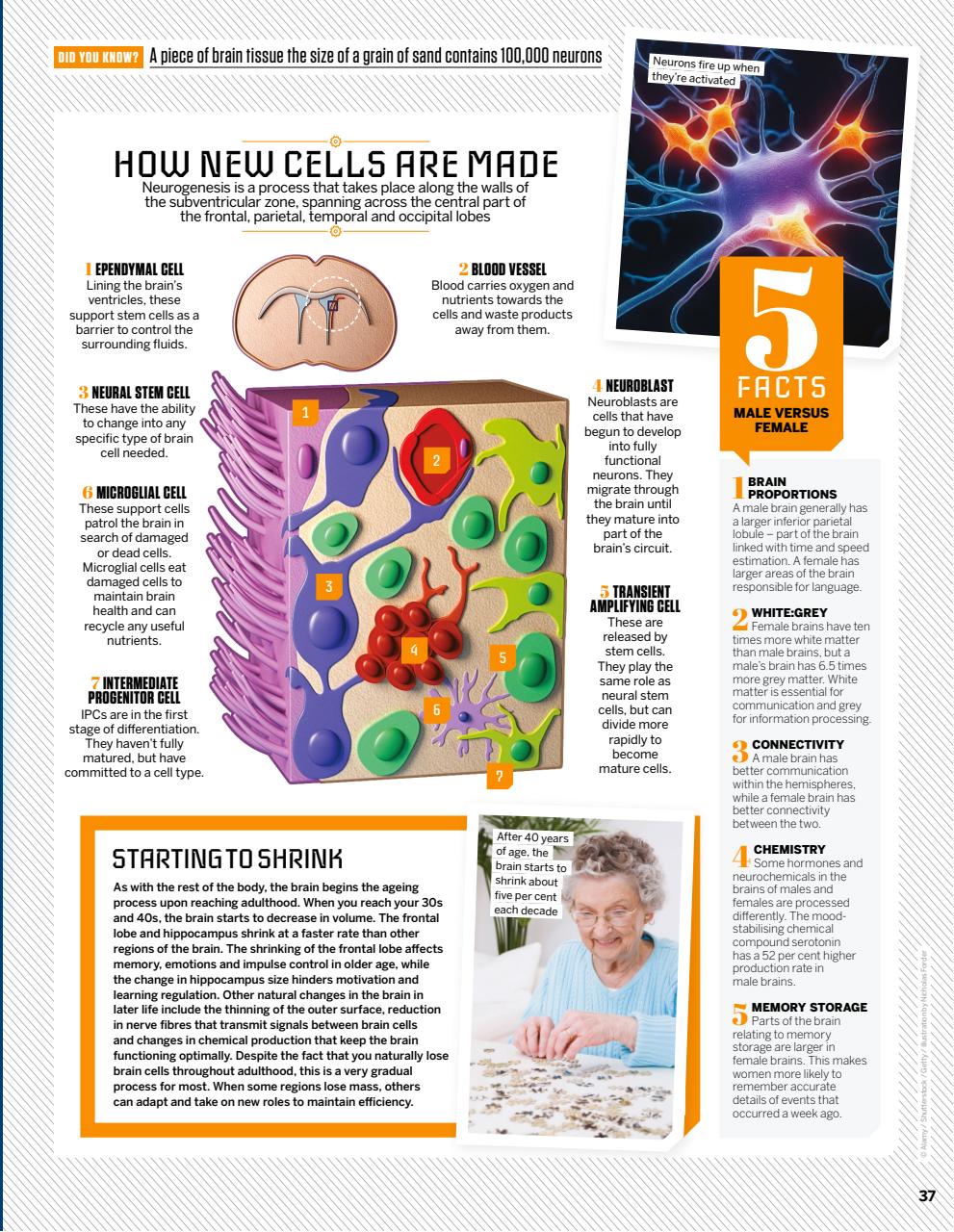 How It Works Preview Pages