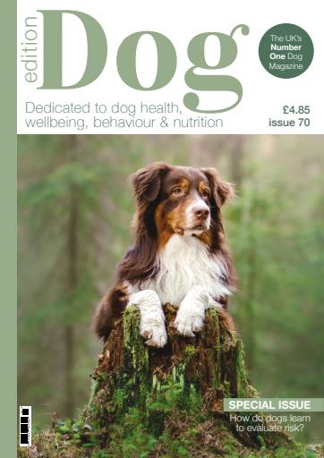 Edition Dog issue 