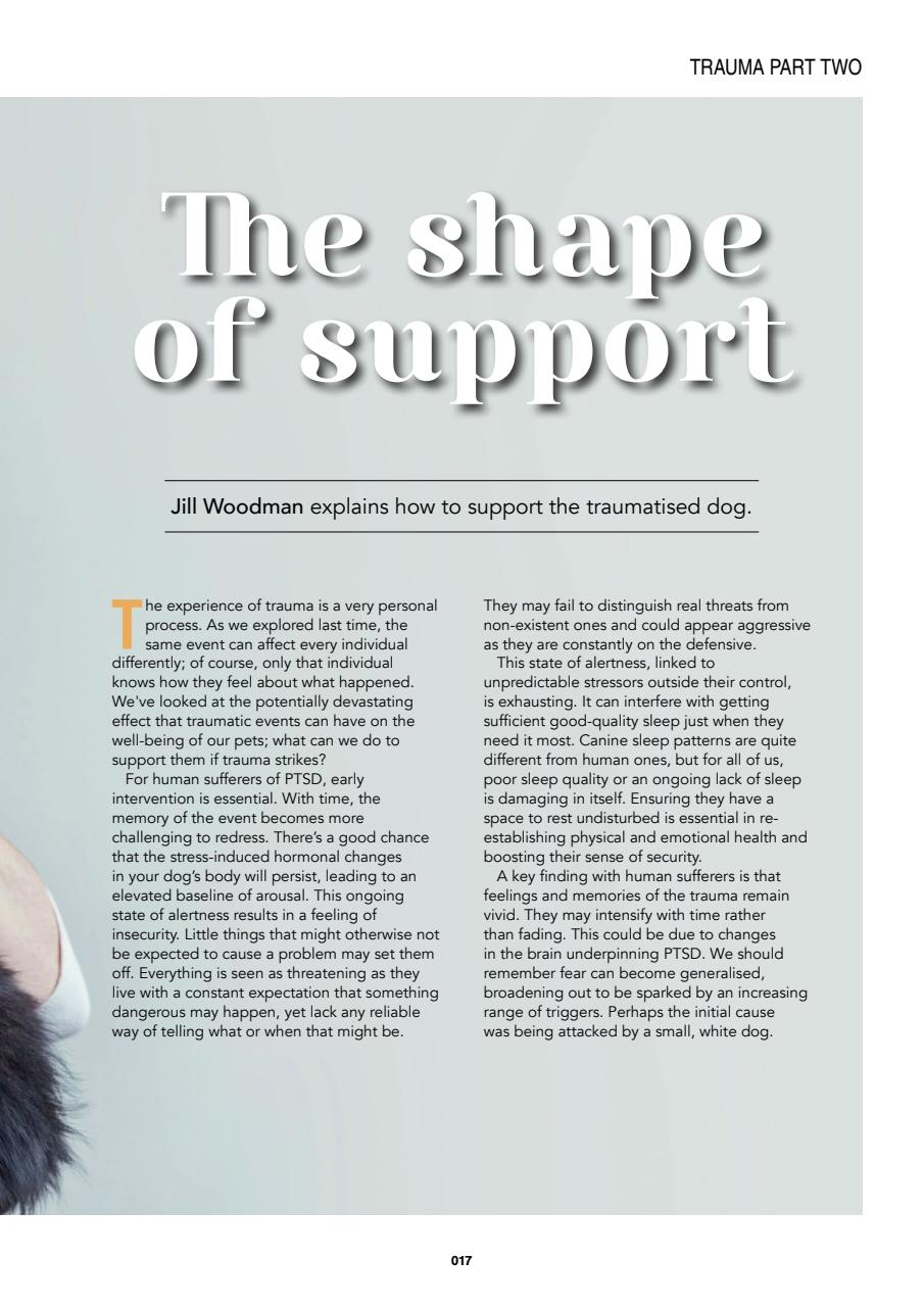 Edition Dog Preview Pages