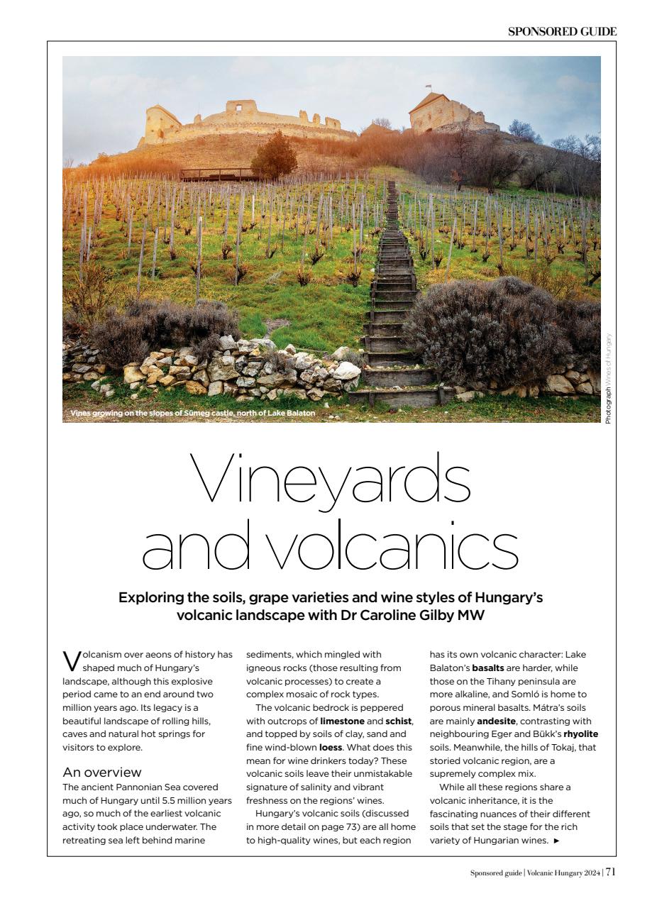 Decanter Preview Pages