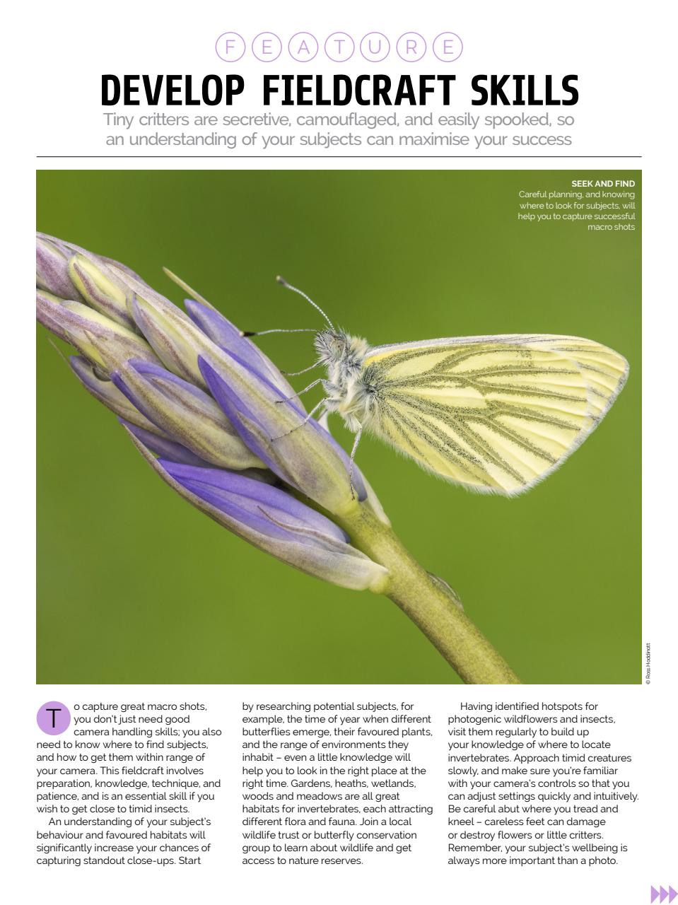 Photography Week Preview Pages