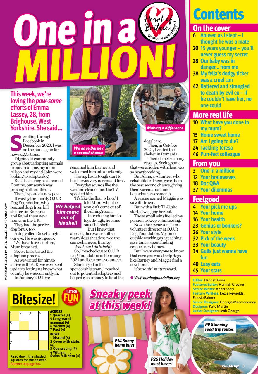 Pick Me Up Preview Pages