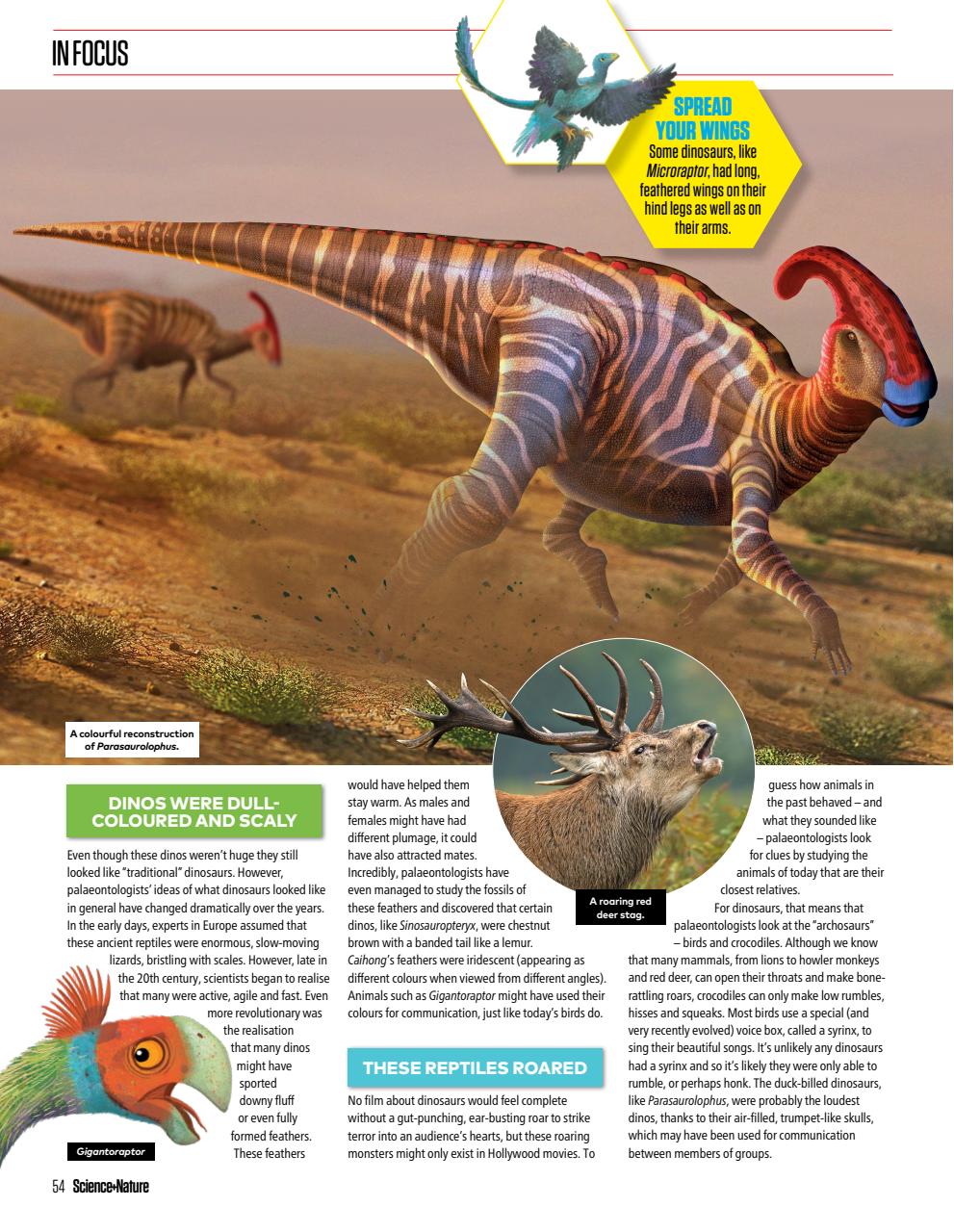 The Week Junior Bookazine Preview Pages