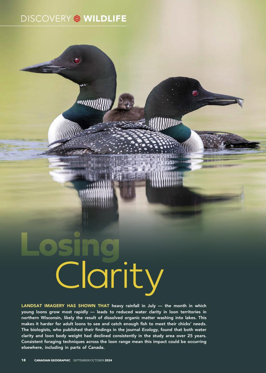 Canadian Geographic Preview Pages