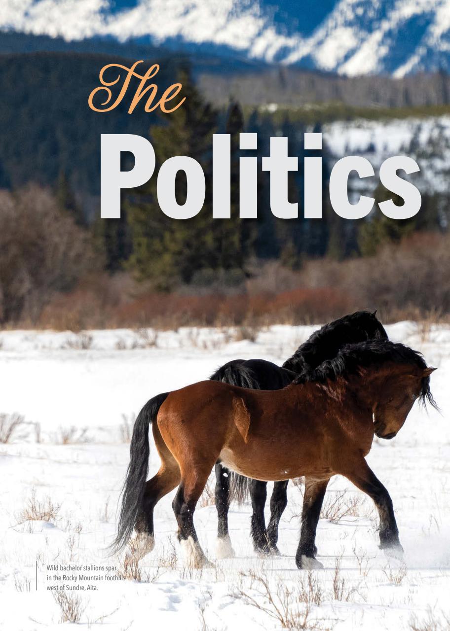 Canadian Geographic Preview Pages