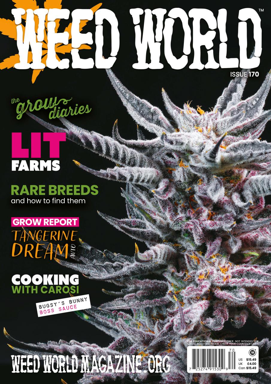 Weed World Preview Pages