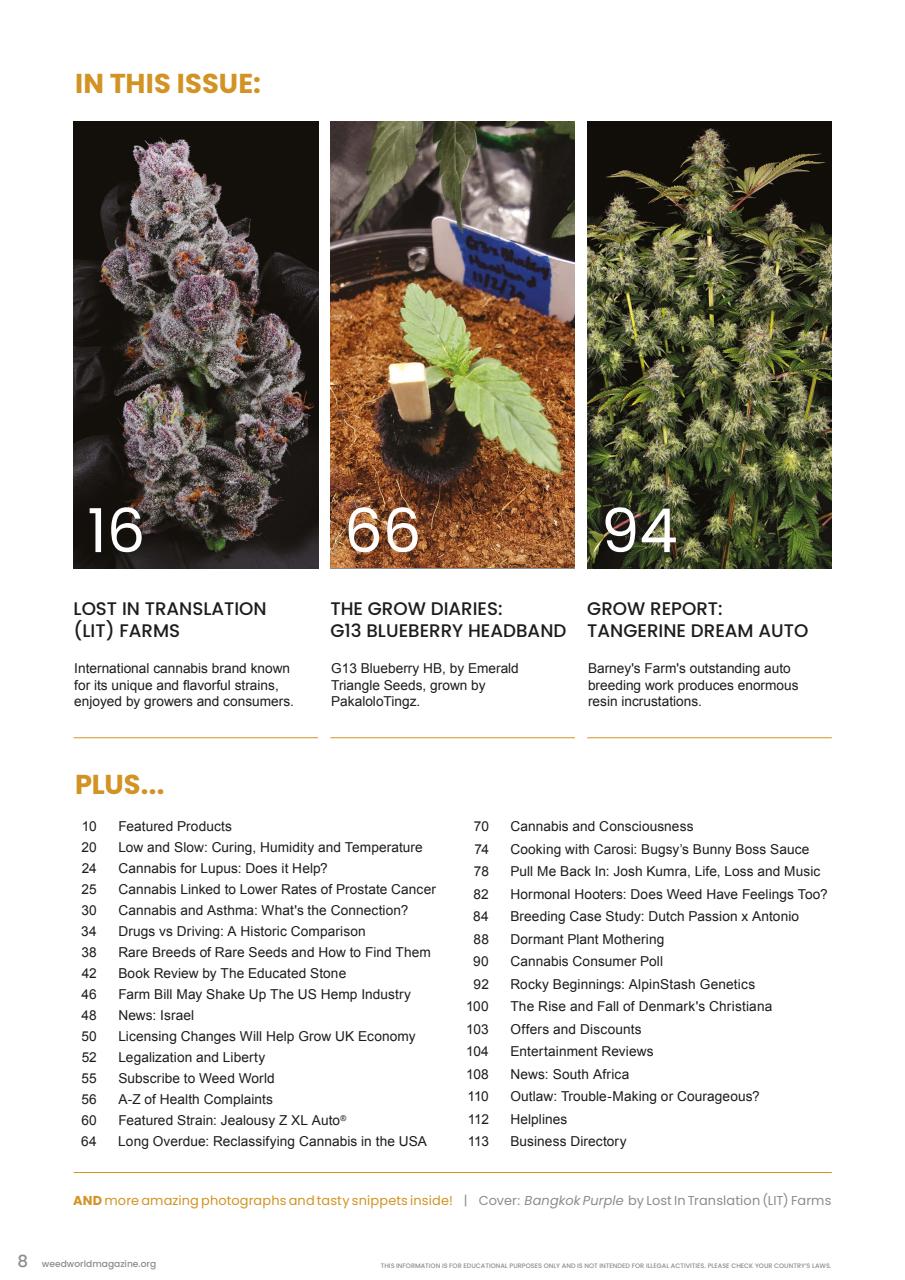 Weed World Preview Pages