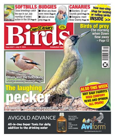 Cage & Aviary Birds issue 31-Jul-24