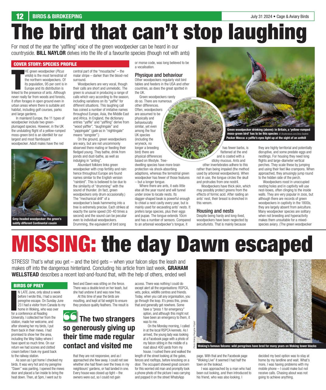 Cage & Aviary Birds Preview Pages