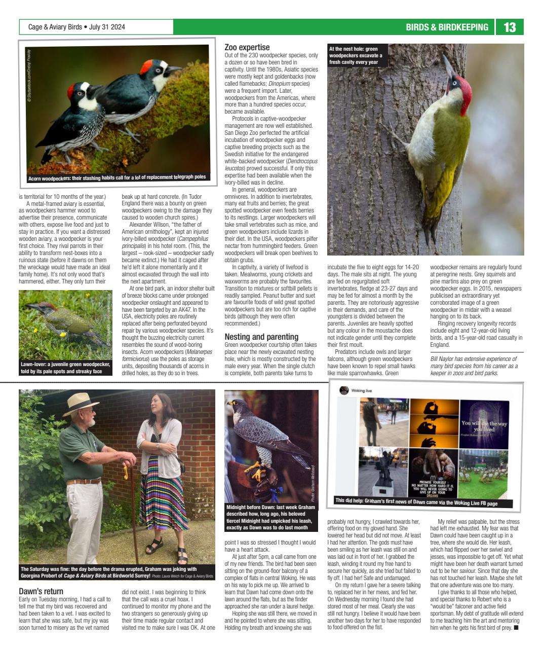 Cage & Aviary Birds Preview Pages