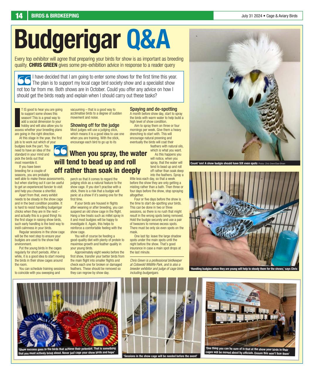 Cage & Aviary Birds Preview Pages