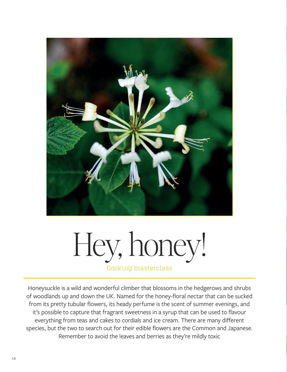 Gather Preview Pages