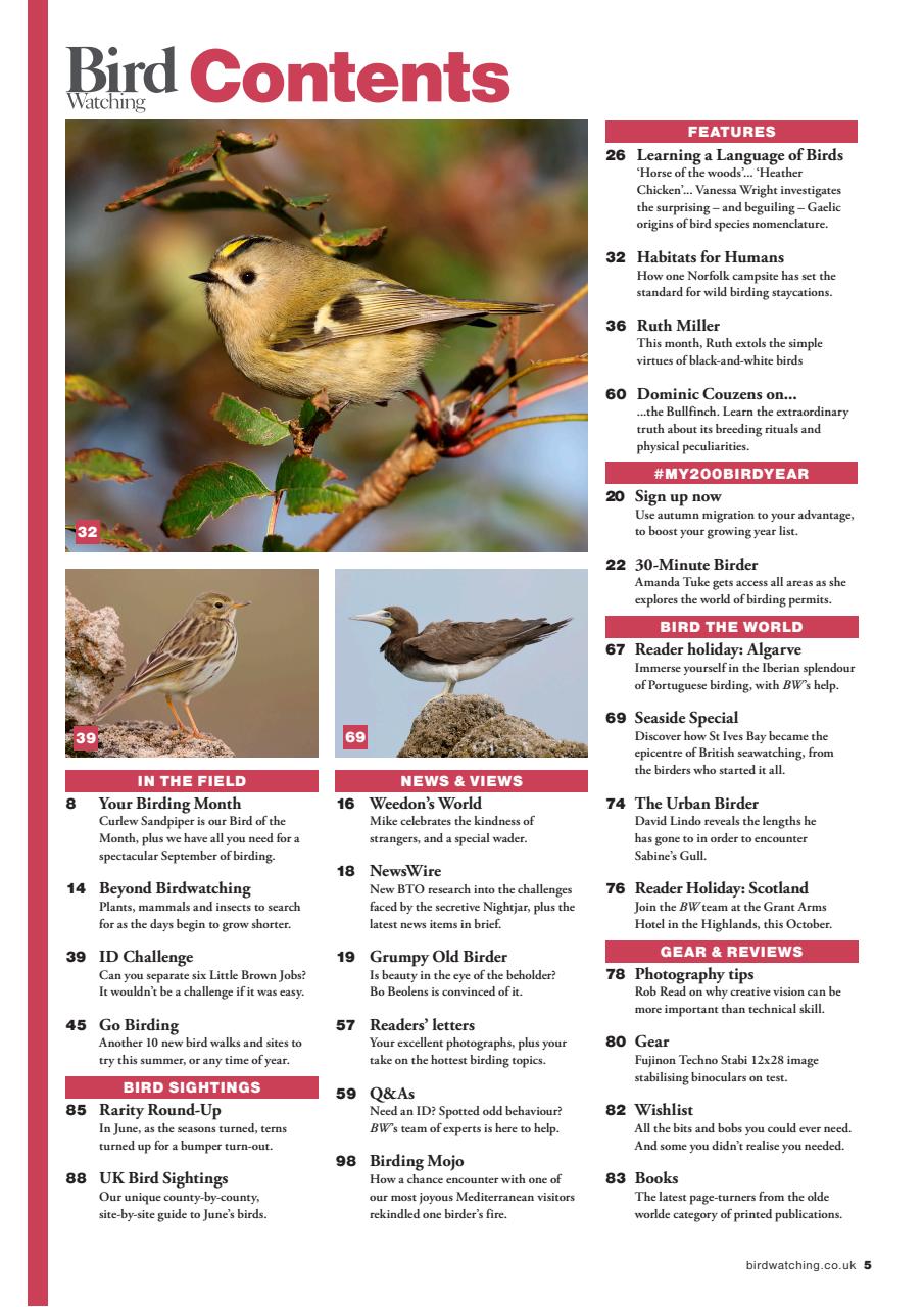 Bird Watching Preview Pages