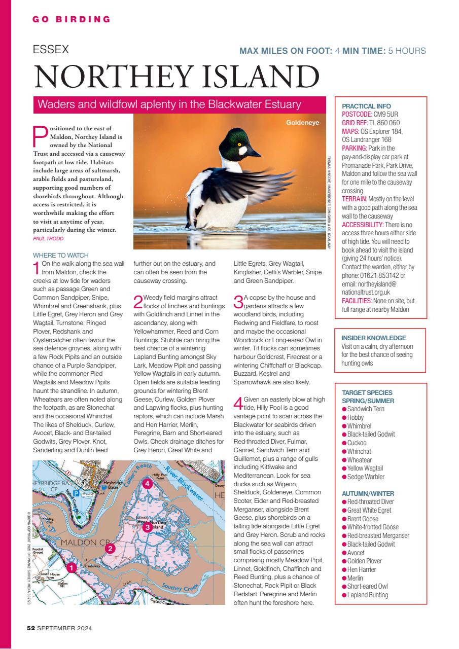 Bird Watching Preview Pages
