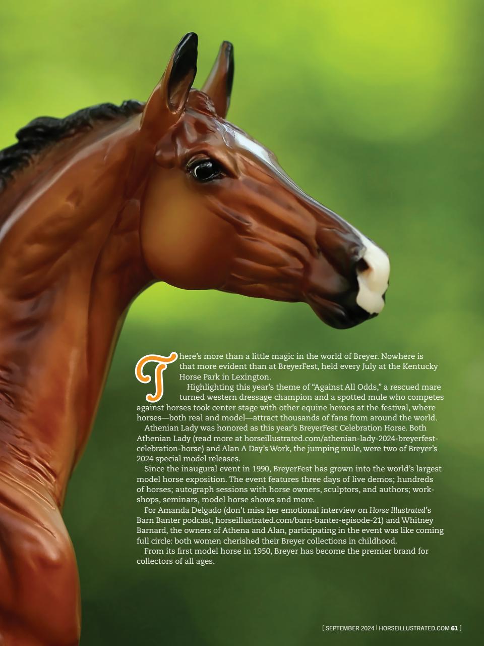 Horse Illustrated Magazine Preview Pages