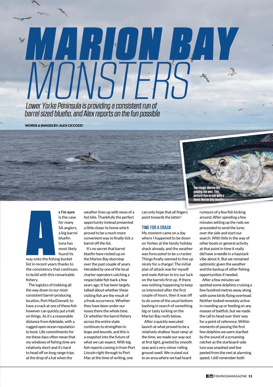 Fishing SA Preview Pages