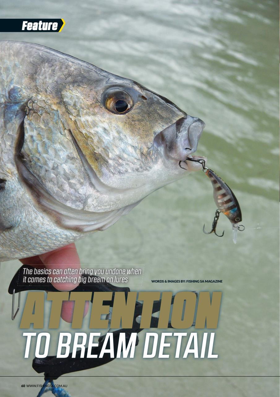 Fishing SA Preview Pages