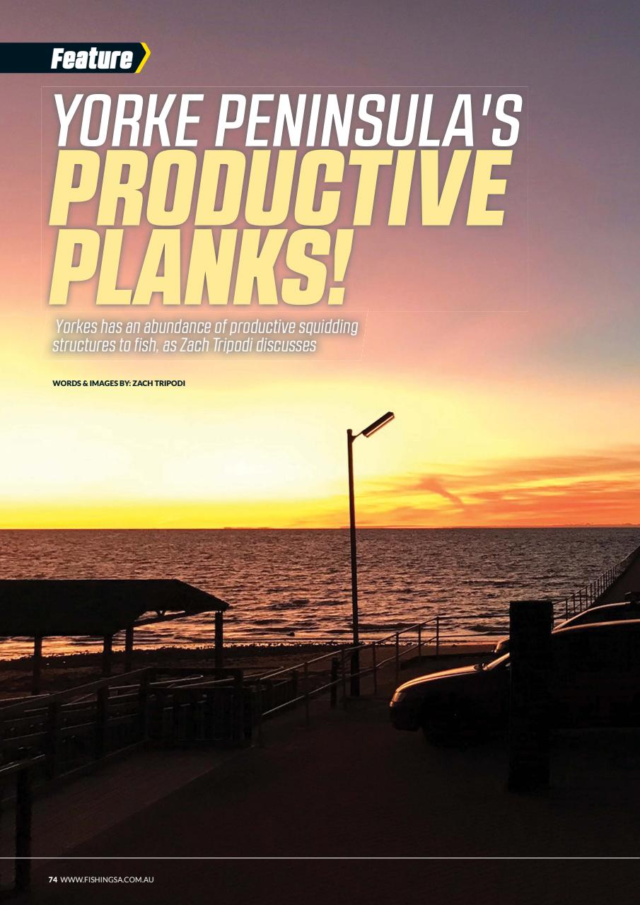 Fishing SA Preview Pages