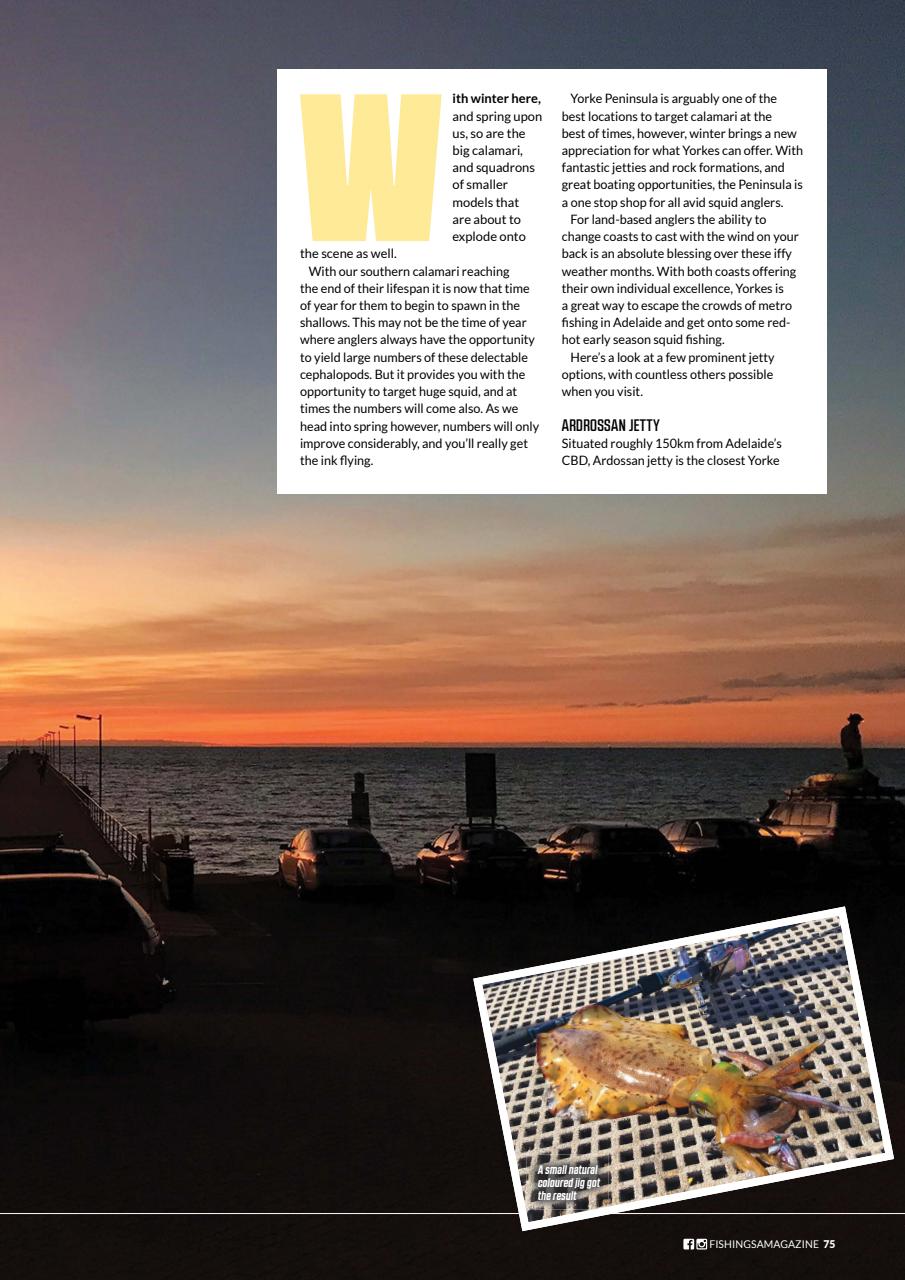 Fishing SA Preview Pages