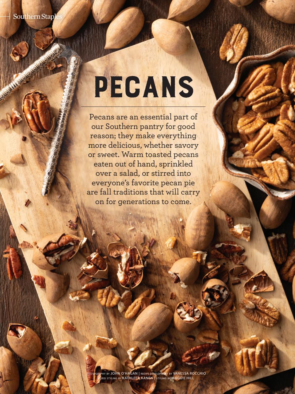 Taste of the South Preview Pages