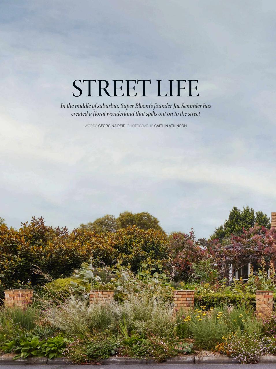 Gardens Illustrated Preview Pages