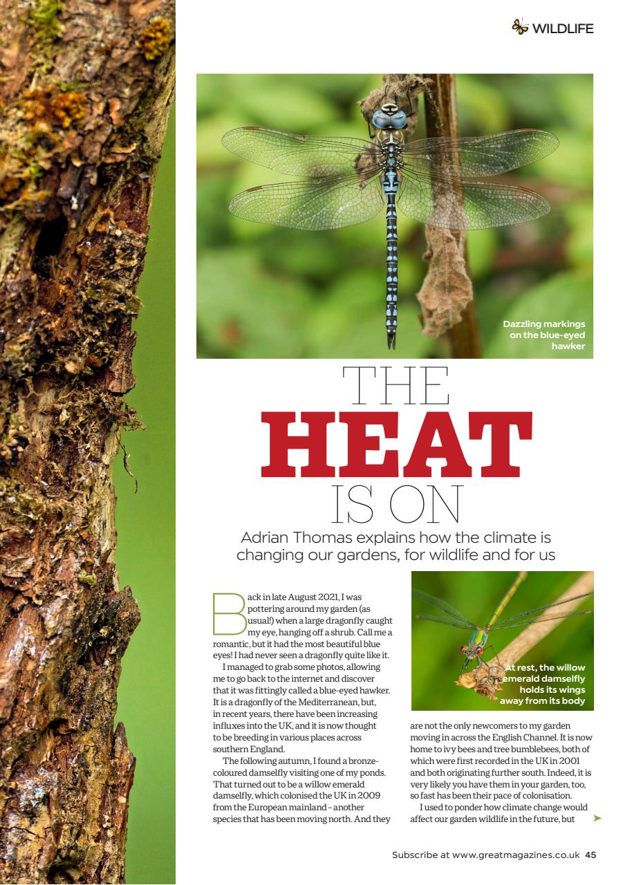 Garden Answers Preview Pages