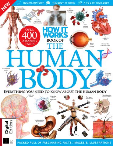 How It Works Bookazine issue How It Works: Book Of The Human Body Twenty first Edition