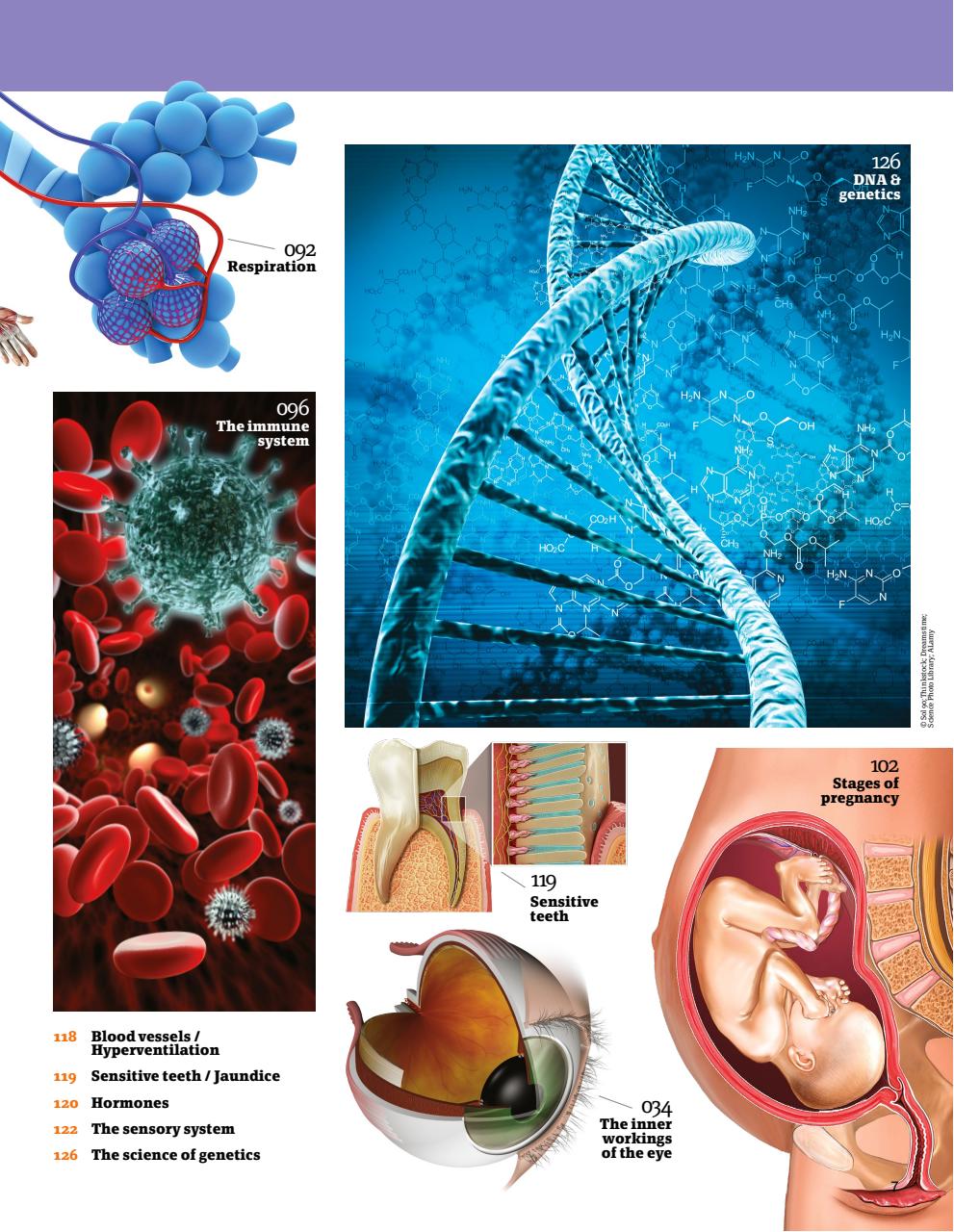 How It Works Bookazine Preview Pages