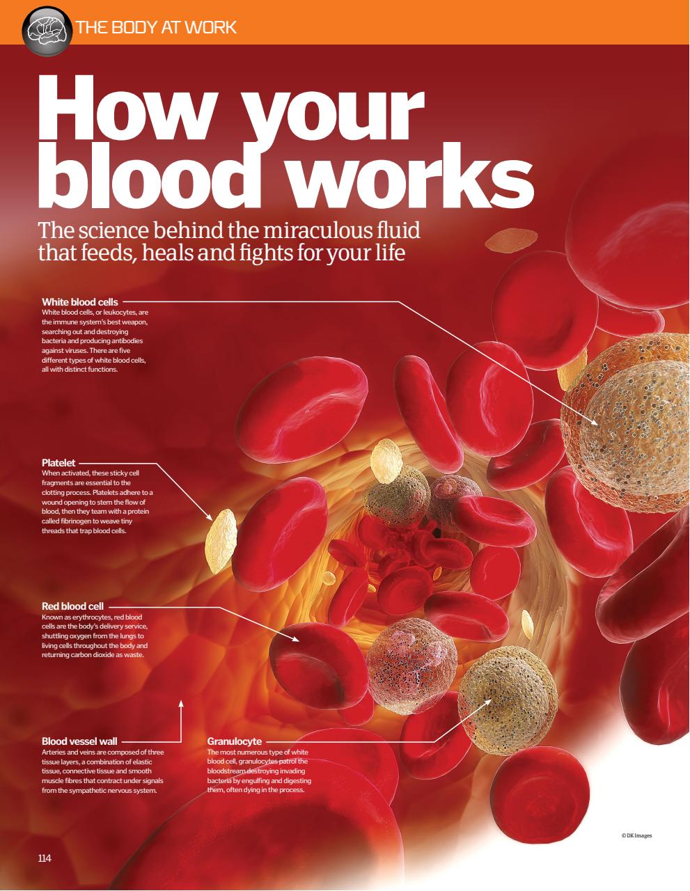 How It Works Bookazine Preview Pages