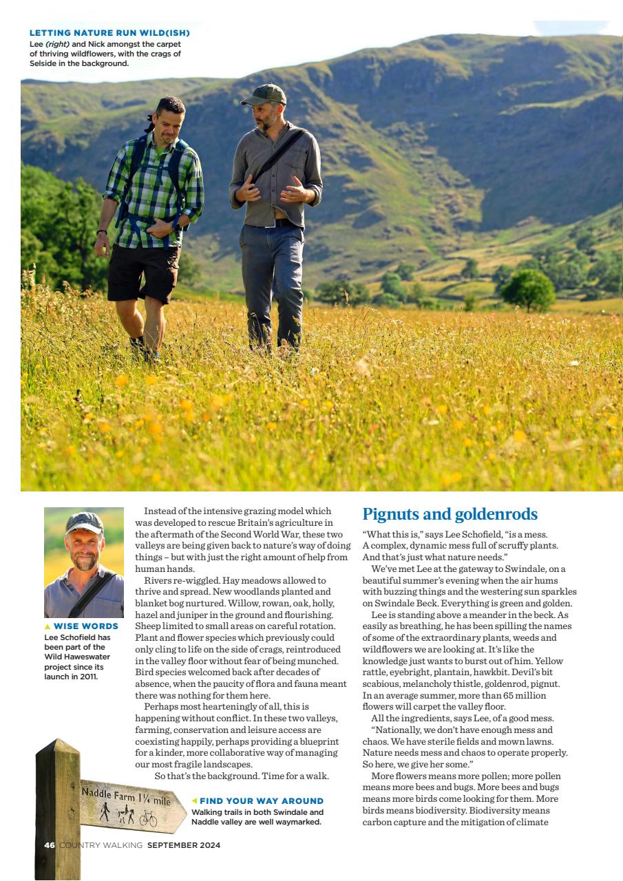 Country Walking Preview Pages