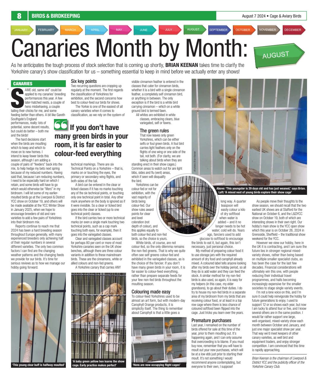 Cage & Aviary Birds Preview Pages