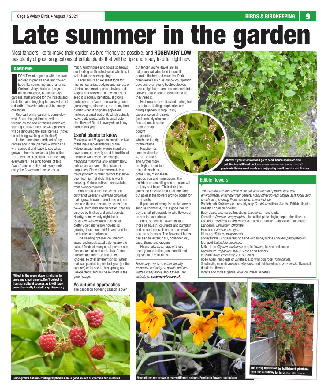 Cage & Aviary Birds Preview Pages