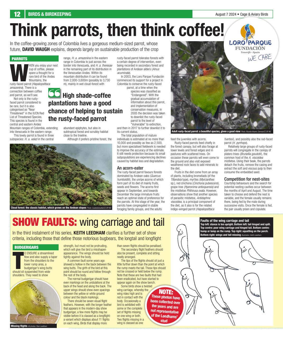 Cage & Aviary Birds Preview Pages