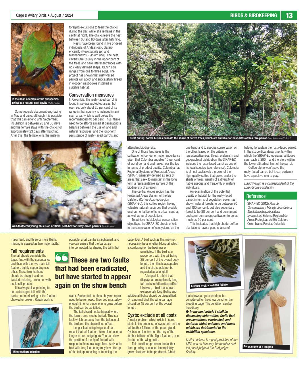 Cage & Aviary Birds Preview Pages