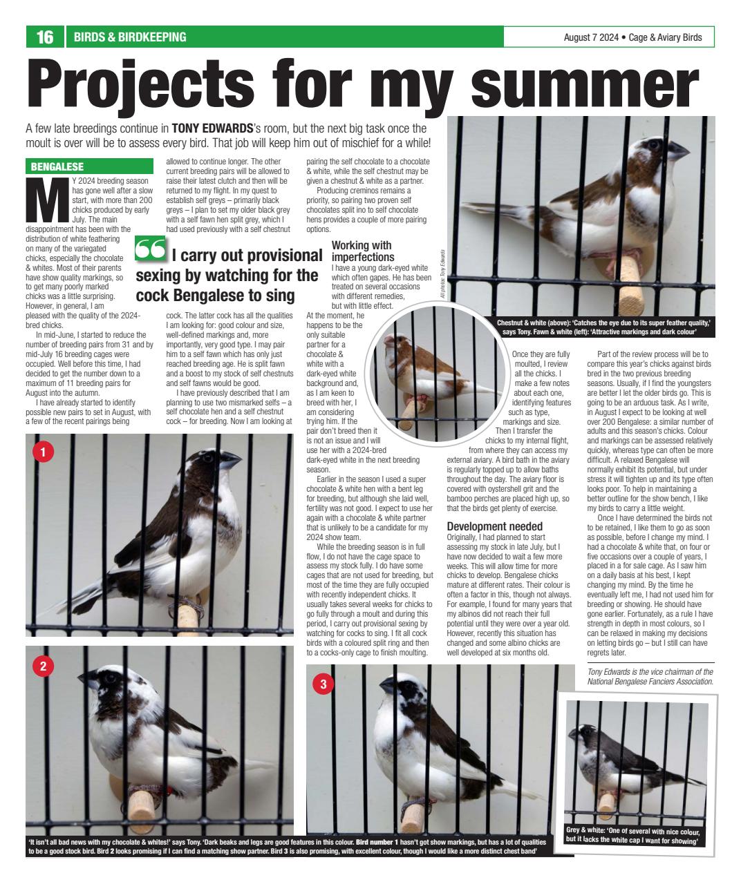 Cage & Aviary Birds Preview Pages