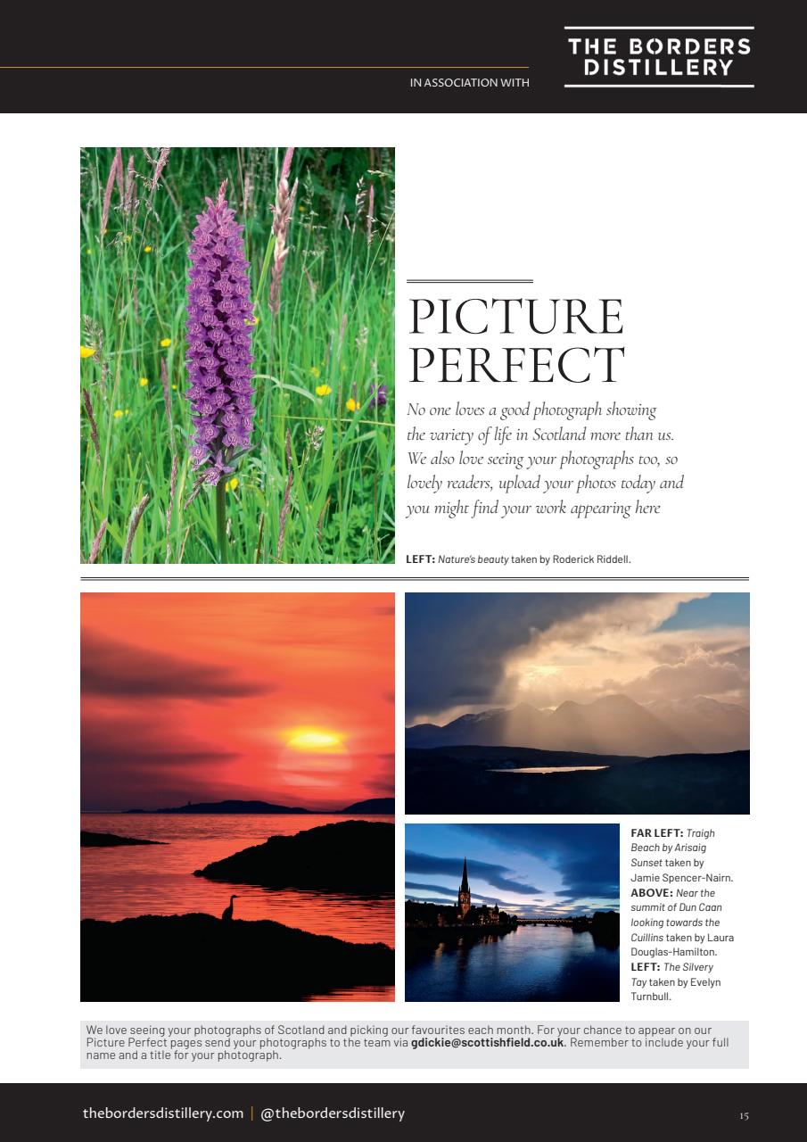 Scottish Field Preview Pages