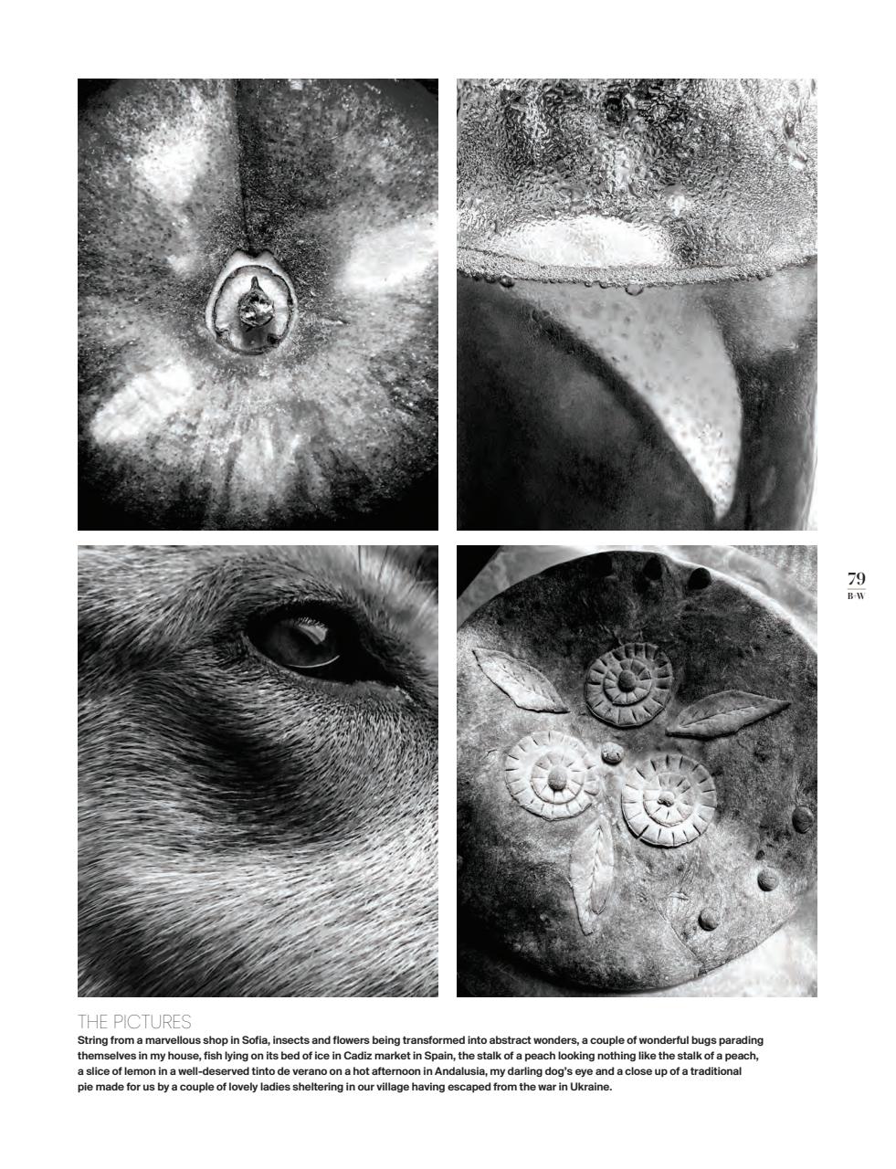 Black+White Photography Preview Pages