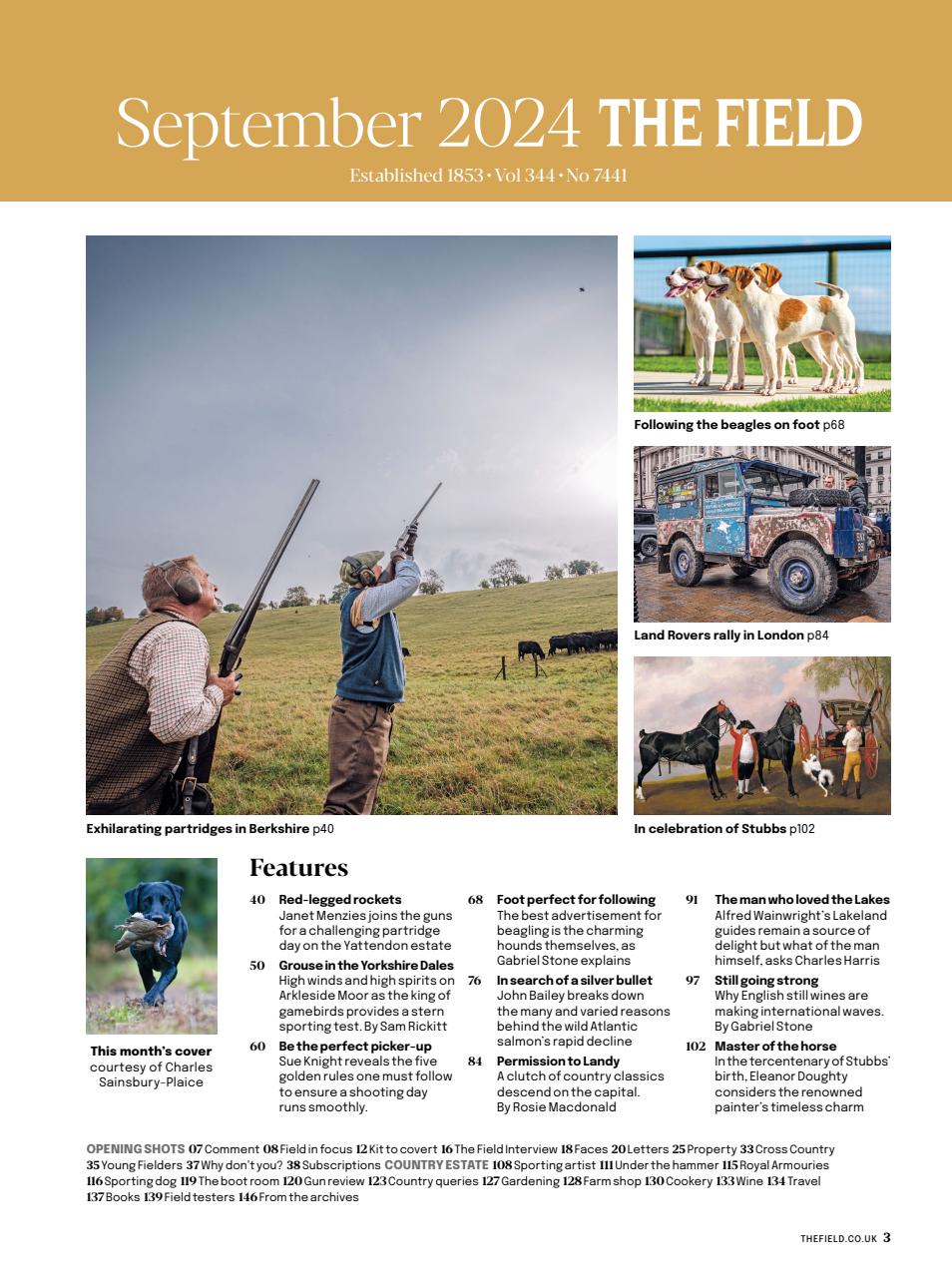 The Field Preview Pages