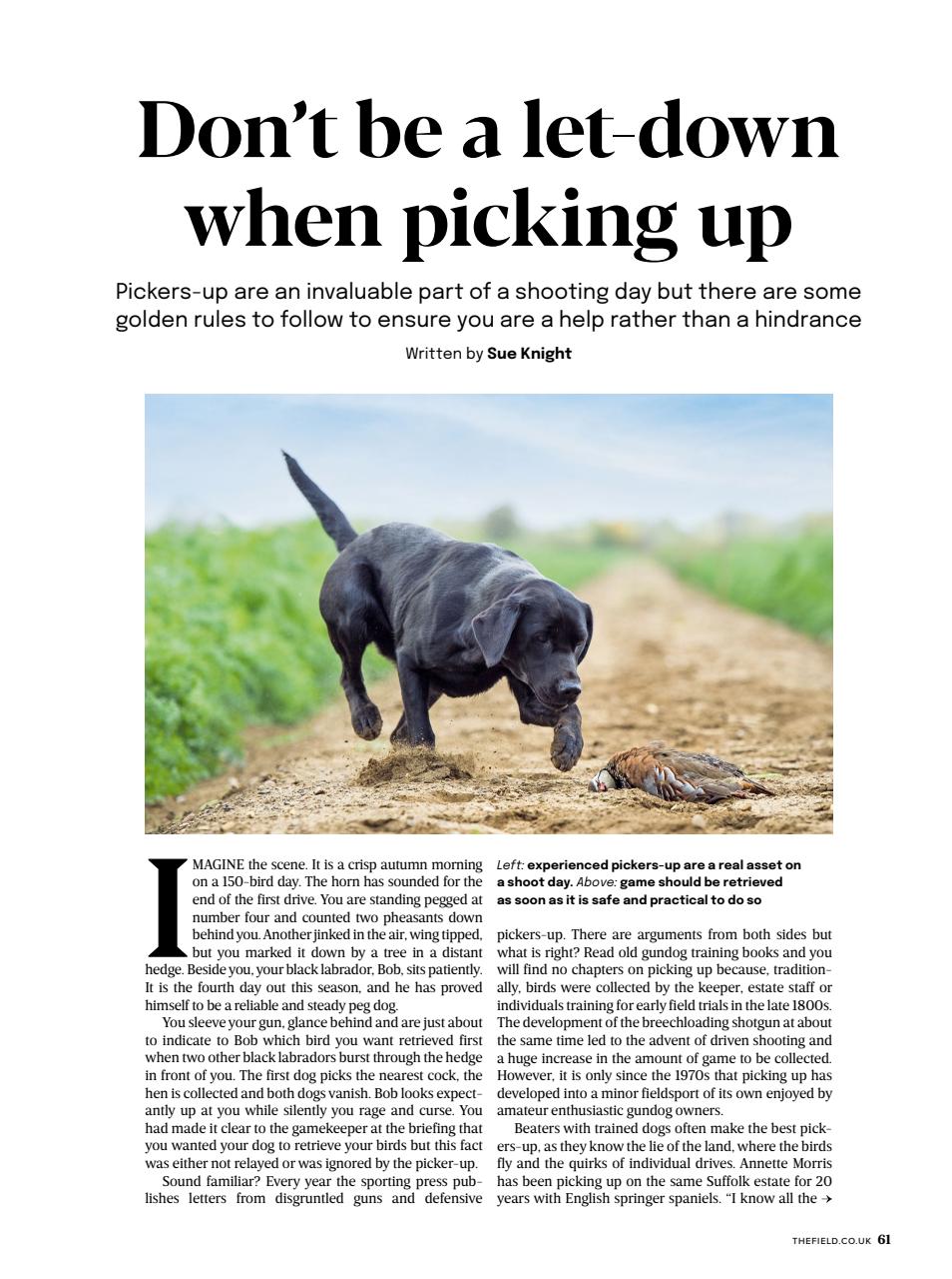 The Field Preview Pages