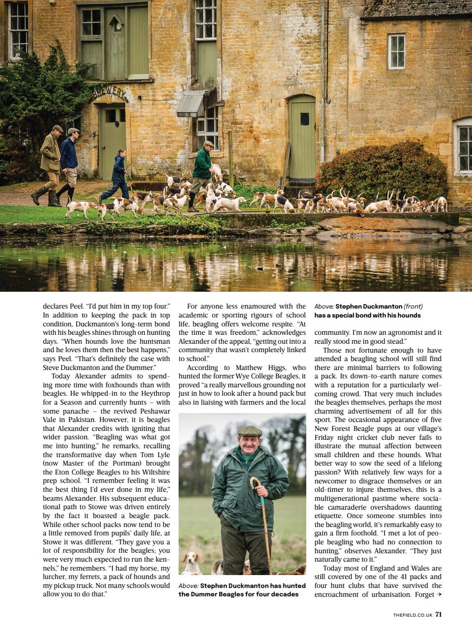 The Field Preview Pages