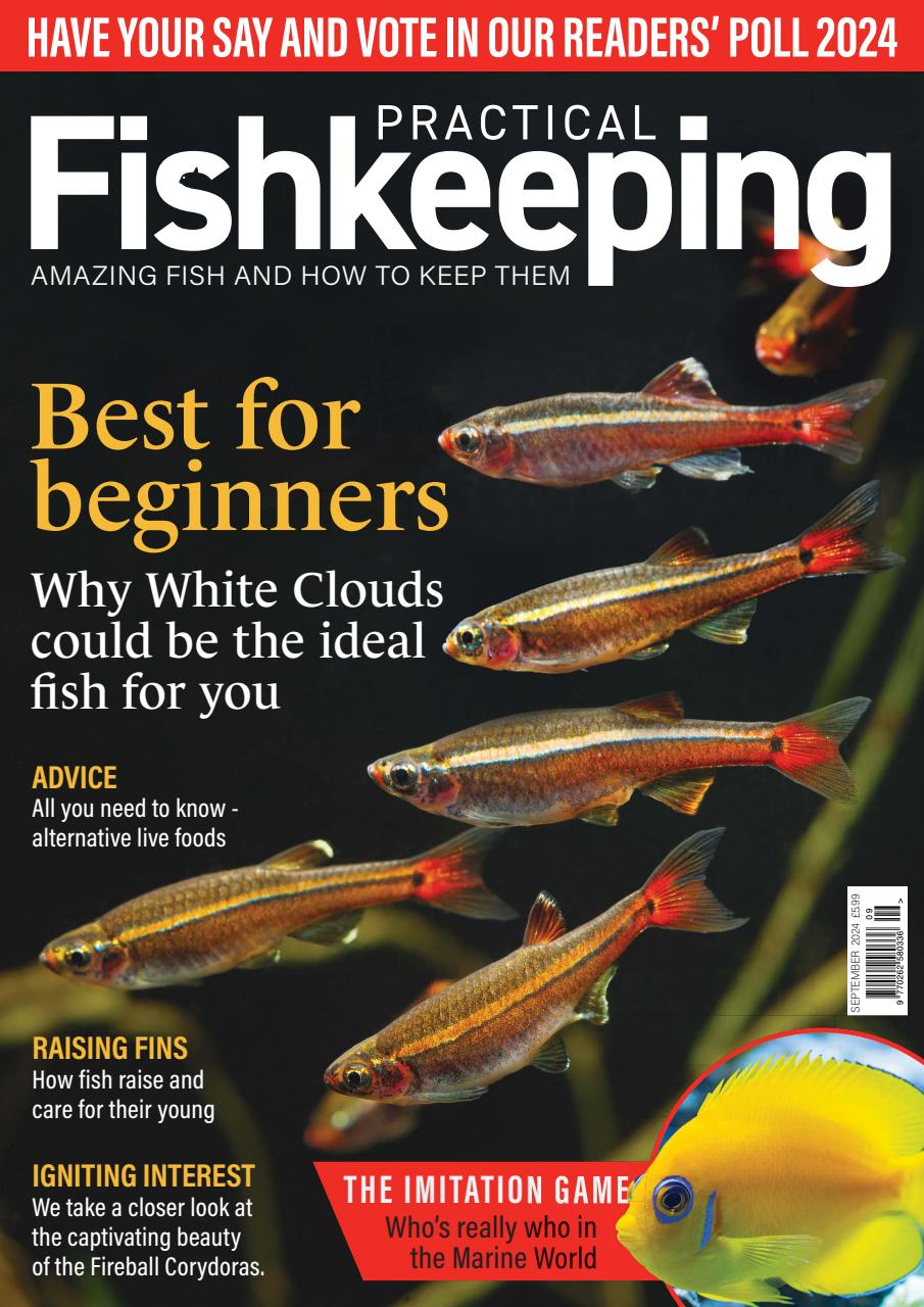 Practical Fishkeeping Preview Pages