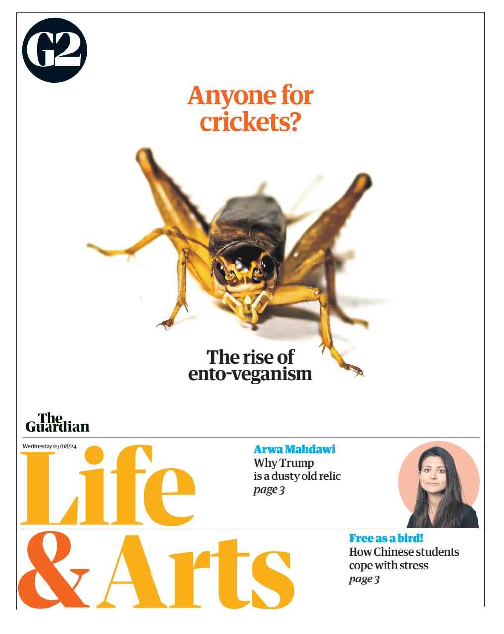 The Guardian Newspaper Preview Pages