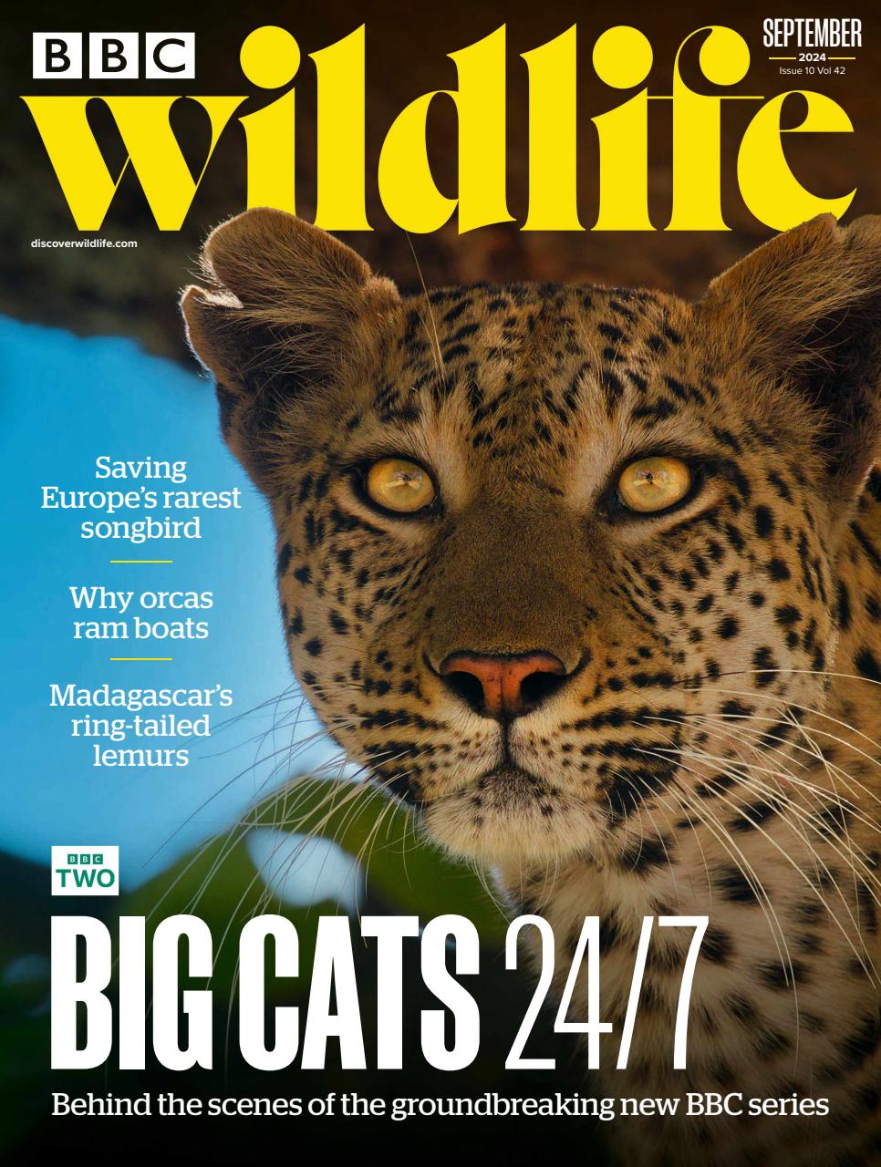 BBC Wildlife Magazine Preview Pages