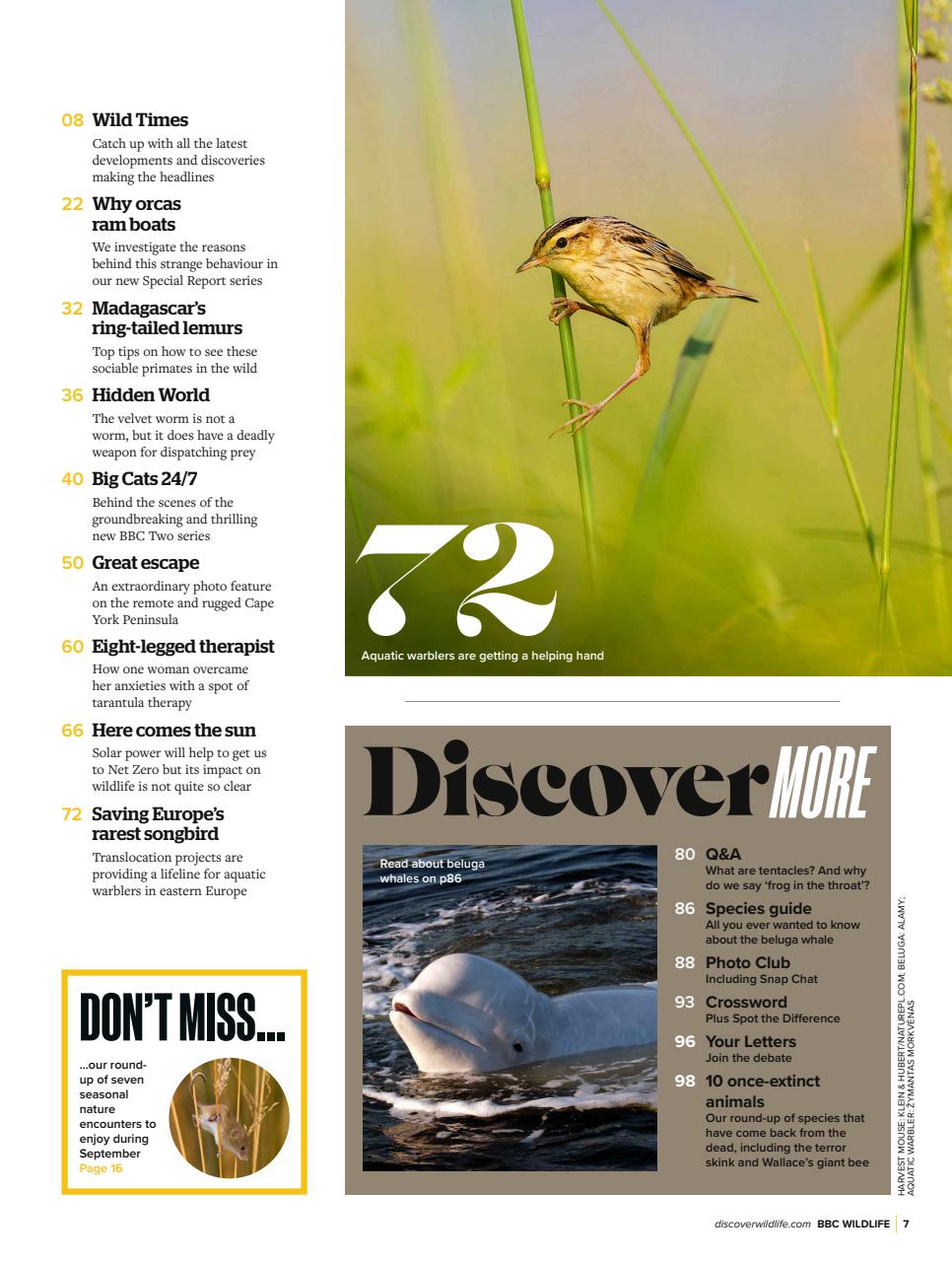 BBC Wildlife Magazine Preview Pages