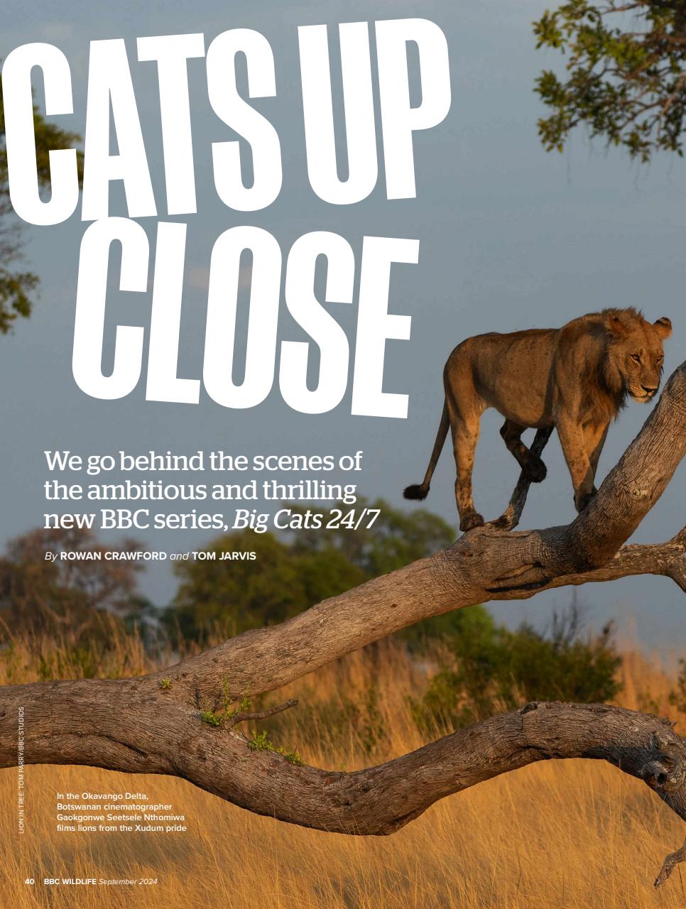 BBC Wildlife Magazine Preview Pages