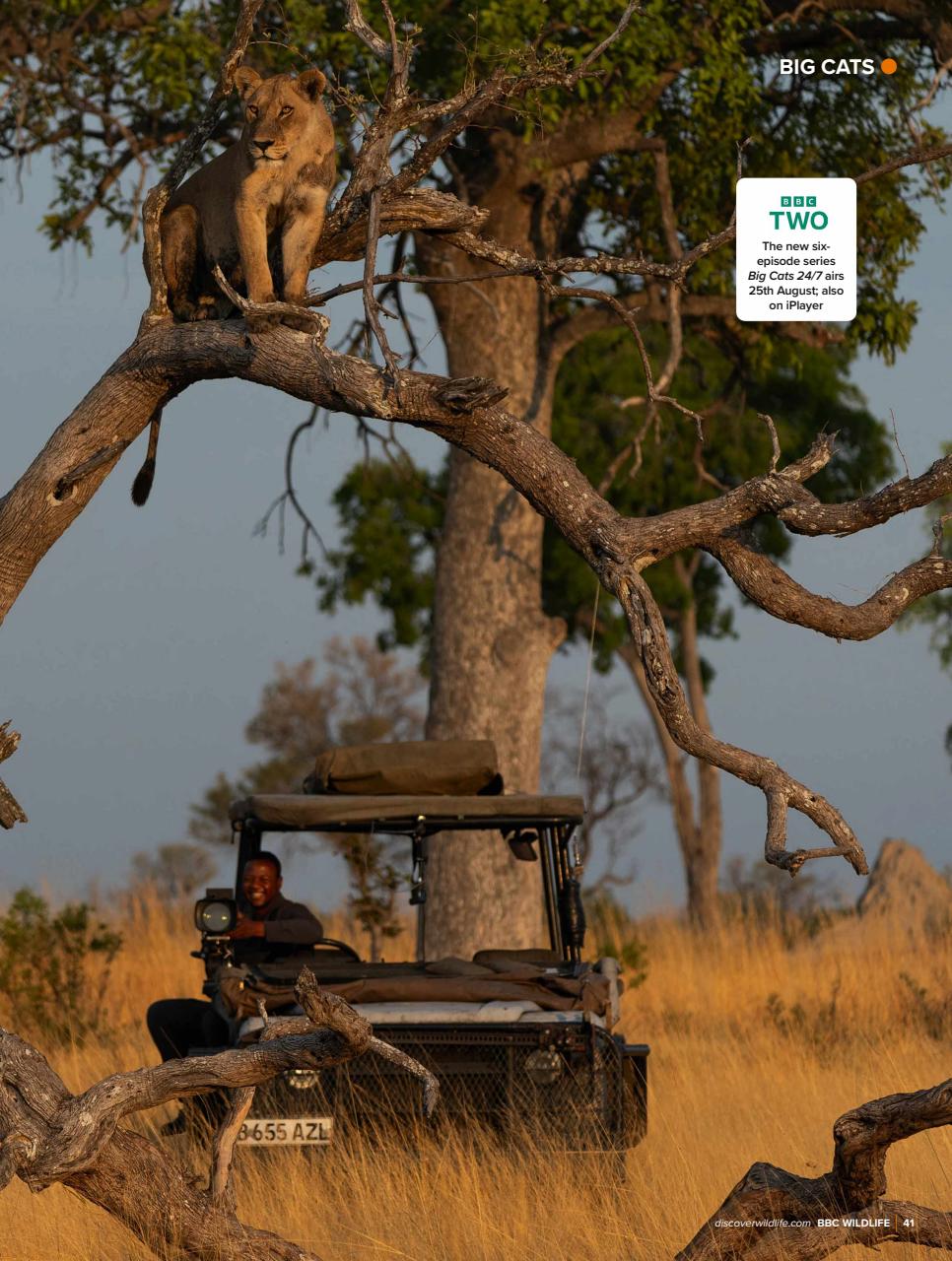 BBC Wildlife Magazine Preview Pages