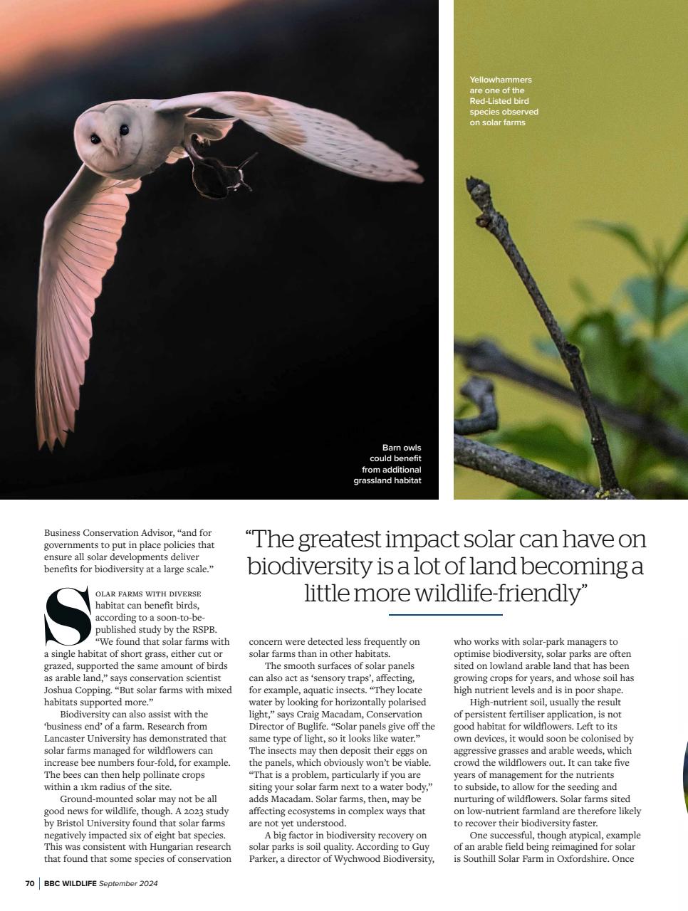 BBC Wildlife Magazine Preview Pages