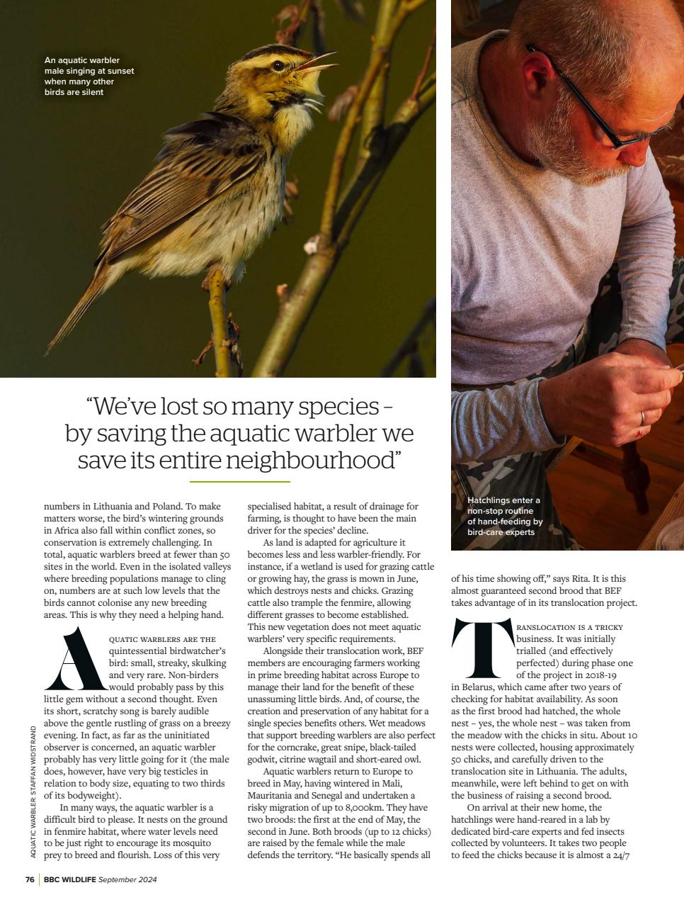 BBC Wildlife Magazine Preview Pages